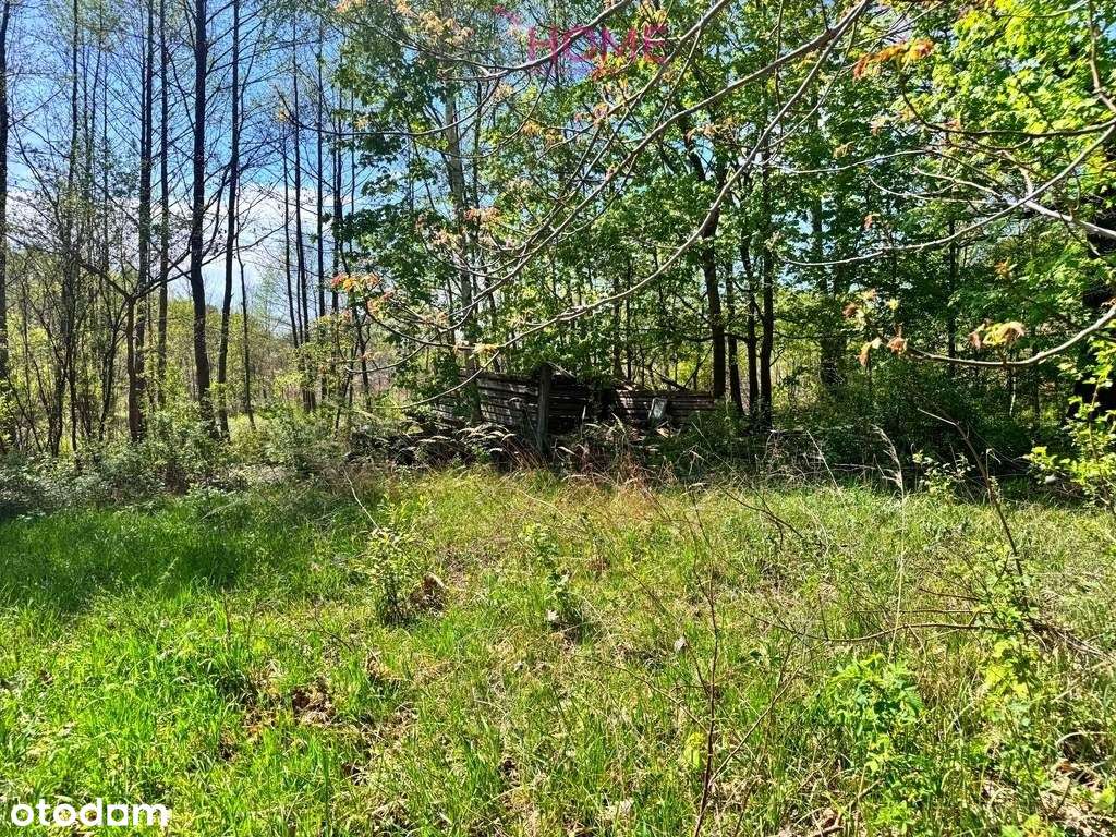 Dom na sprzedaż - Majdan Królewski 2,12ha działki-9