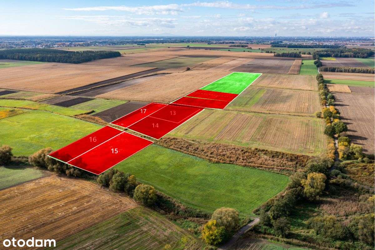 Działki w Oleśniczce, Gmina Długołęka - Pełny obrazek: 5/6