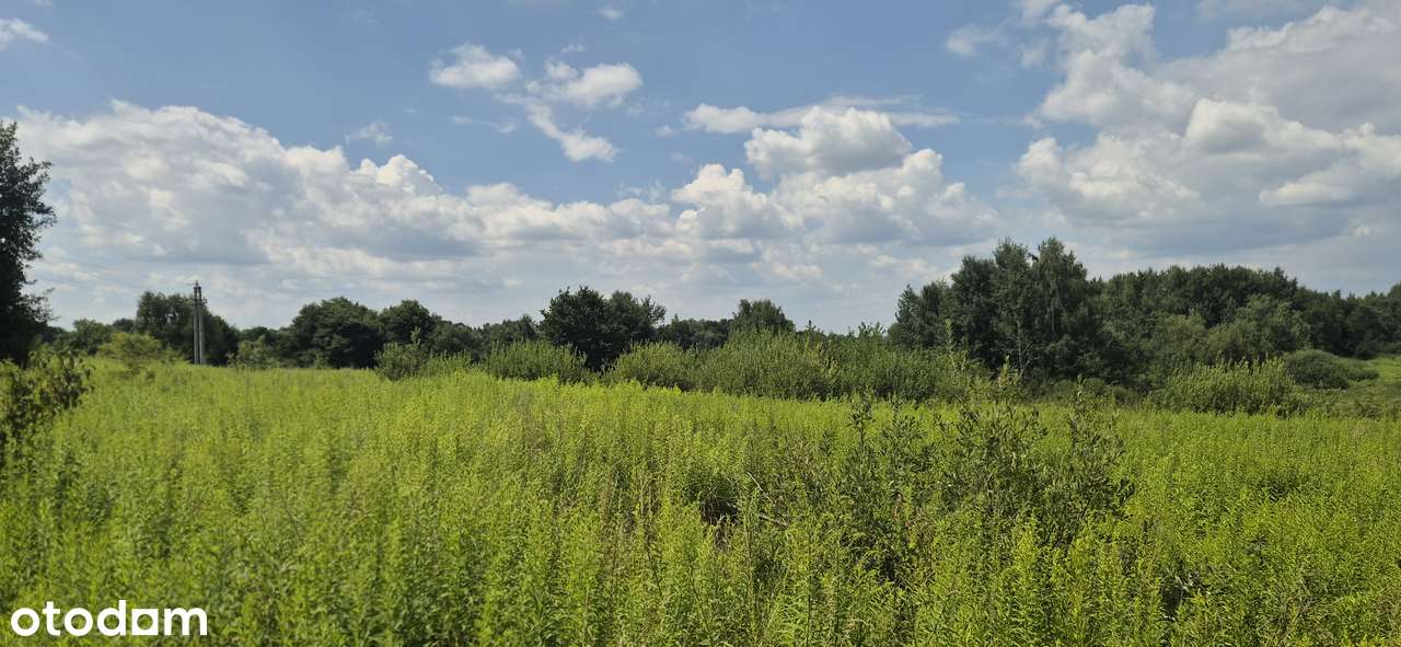 Sprzedam działkę Skawina ul. Graniczna - Pełny obrazek: 4/4