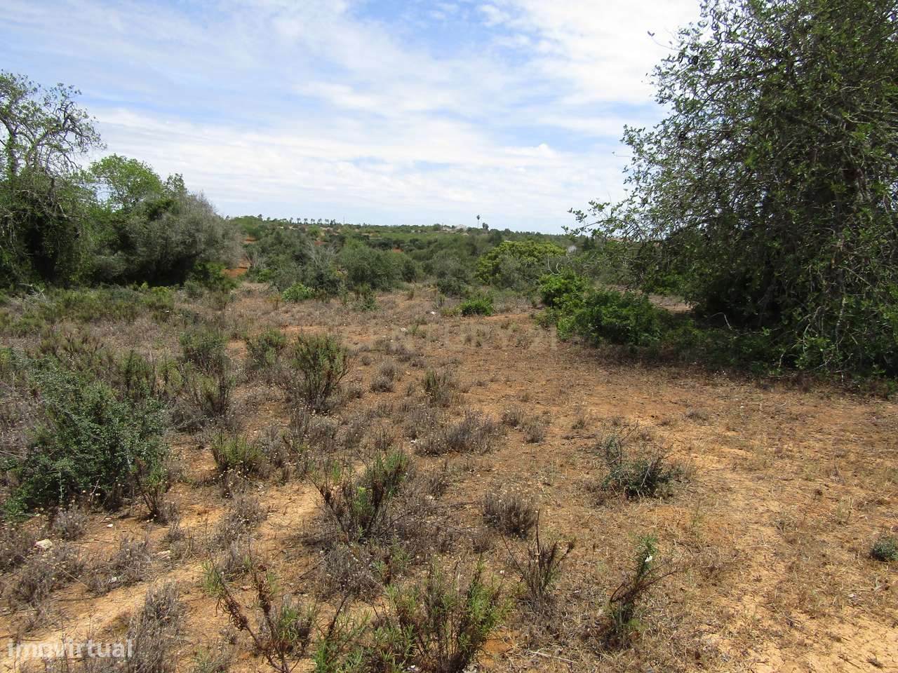 Terreno Rústico - Grande imagem: 5/7