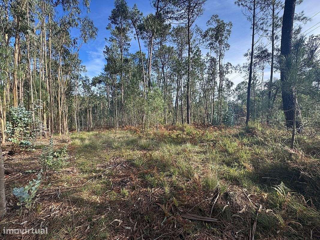 Terreno  para venda - Grande imagem: 4/5