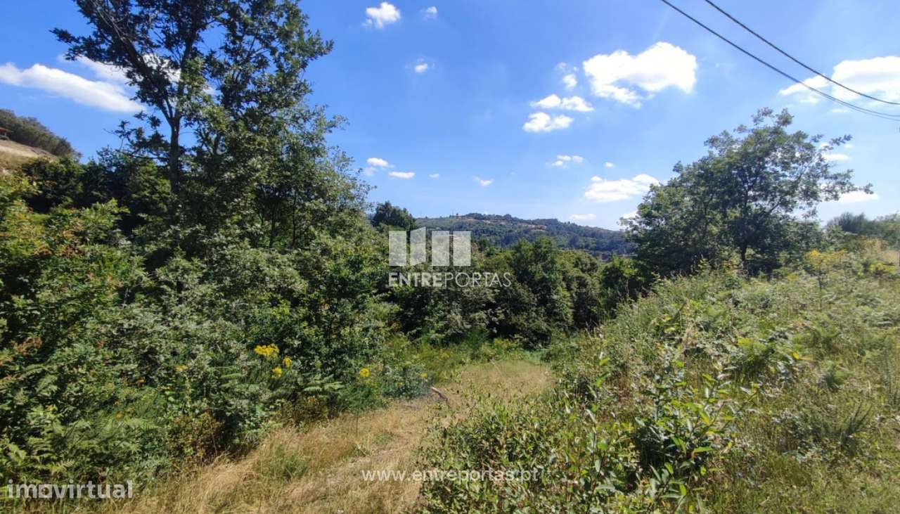 Venda Terreno com 46 048m2, Soalhães, Marco de Canaveses - Grande imagem: 5/30
