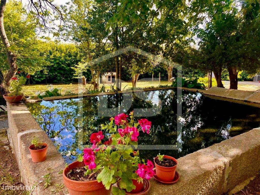 Douro Vinhateiro, Quinta Turística-53