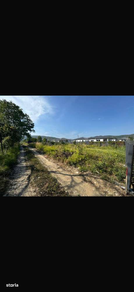 Teren Bujoreni Olteni 421 mp.-3