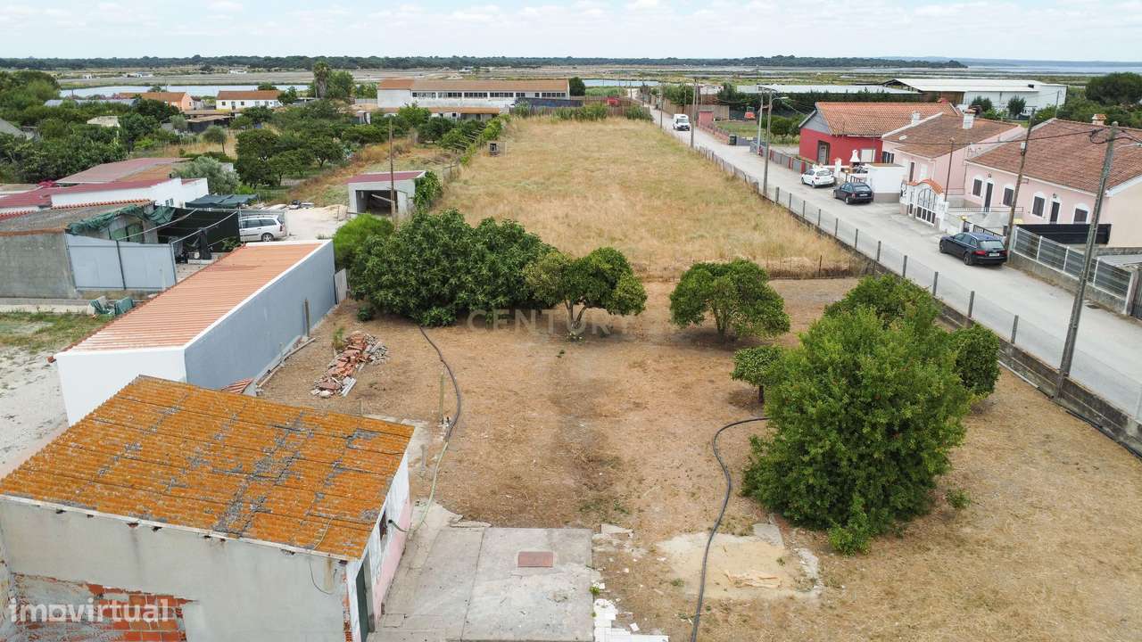 Quintinha com 2 Casas | 5464 m² | Mourisca - Setúbal - Grande imagem: 5/60