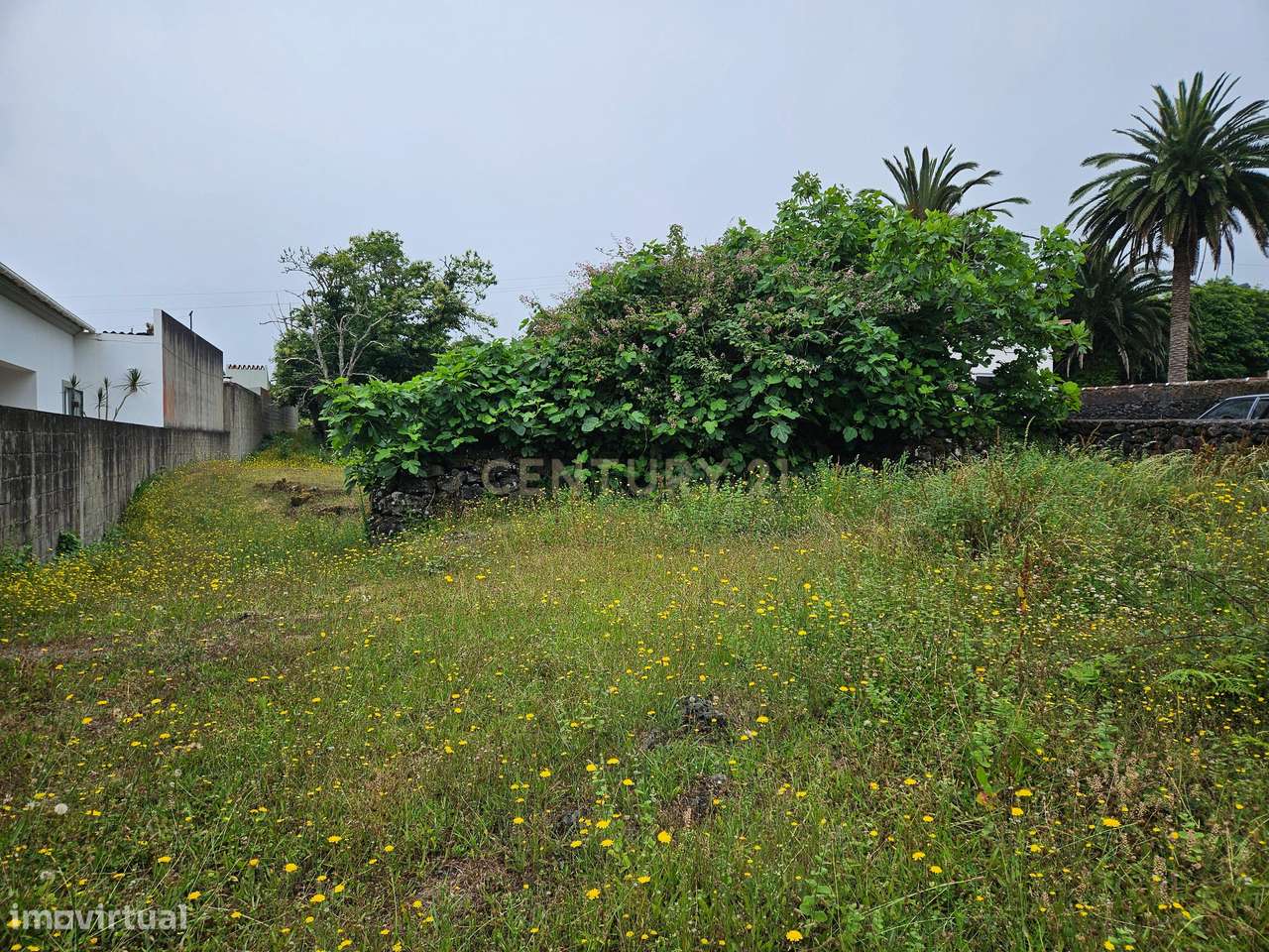 Excelente terreno com projeto de arquitetura aprovado em Terra Chã. - Grande imagem: 4/12