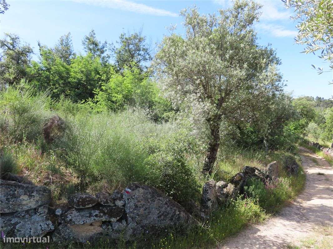 Quinta  para venda - Grande imagem: 2/19