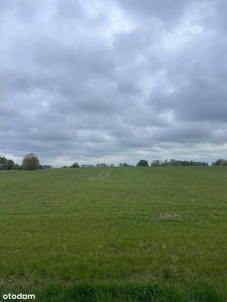 Piękne działki budowlane w Dzbanicach  Gmina Pokrzywnica Narew blisko-1