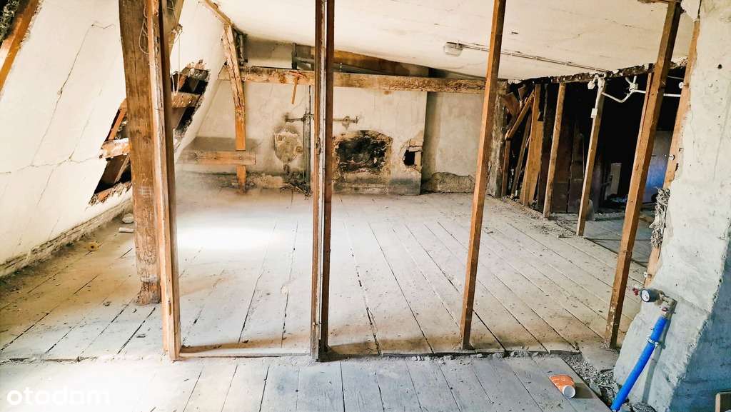 Strych do adaptacji 189 m przy Parku Wilsona - Pełny obrazek: 2/3