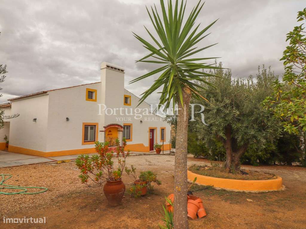 Monte de 4,8 hectares com Moradia T11 para Turismo Rural - Grande imagem: 4/52