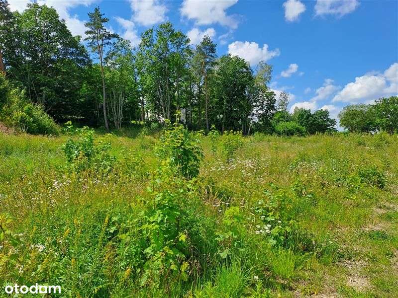 Działka przemysłowa na obrzeżach Słupska - Pełny obrazek: 4/5