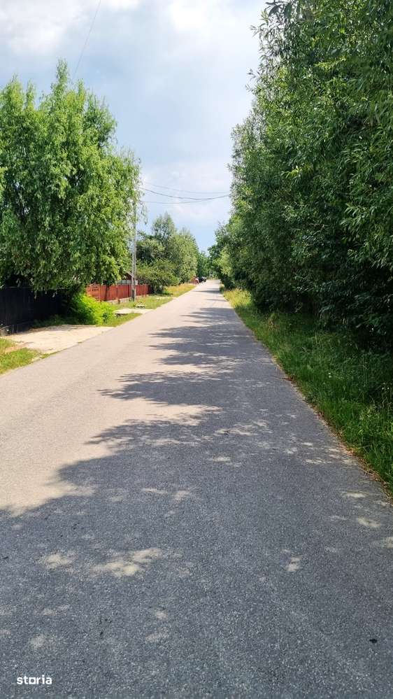 Arges Campul Lung Muscel 5700 mp d=33ml - Imagine principală: 4/12