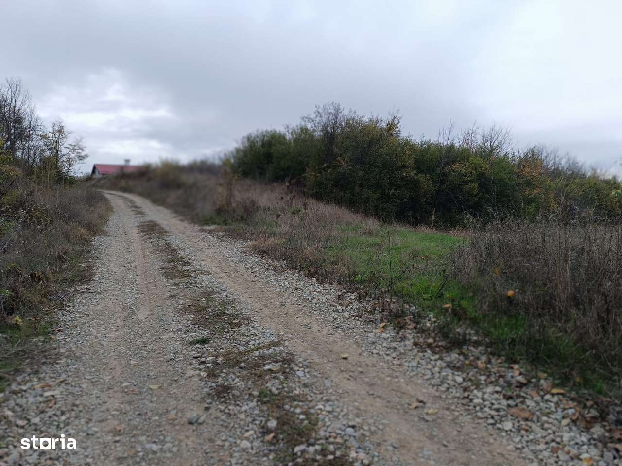 Teren Simnic sat Cornetu 2200mp,deschidere 23mp 1100 intravilan - Imagine principală: 4/4