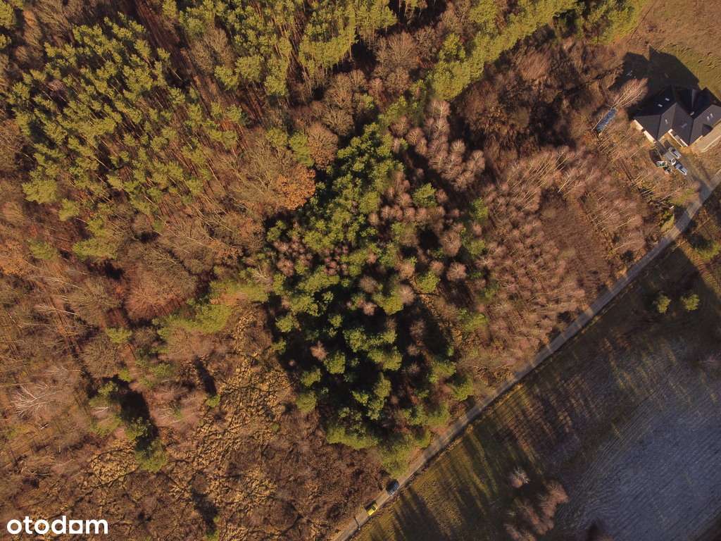 Działka budowlana przy lesie Holendry-1