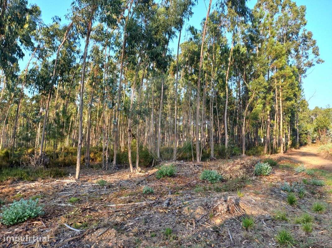 Terreno  para venda - Grande imagem: 2/3