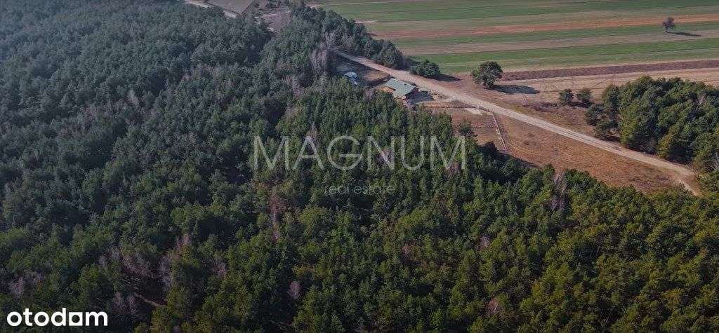 Piękna działka z lasem pod zabudowę jednorodzinną - Pełny obrazek: 5/9