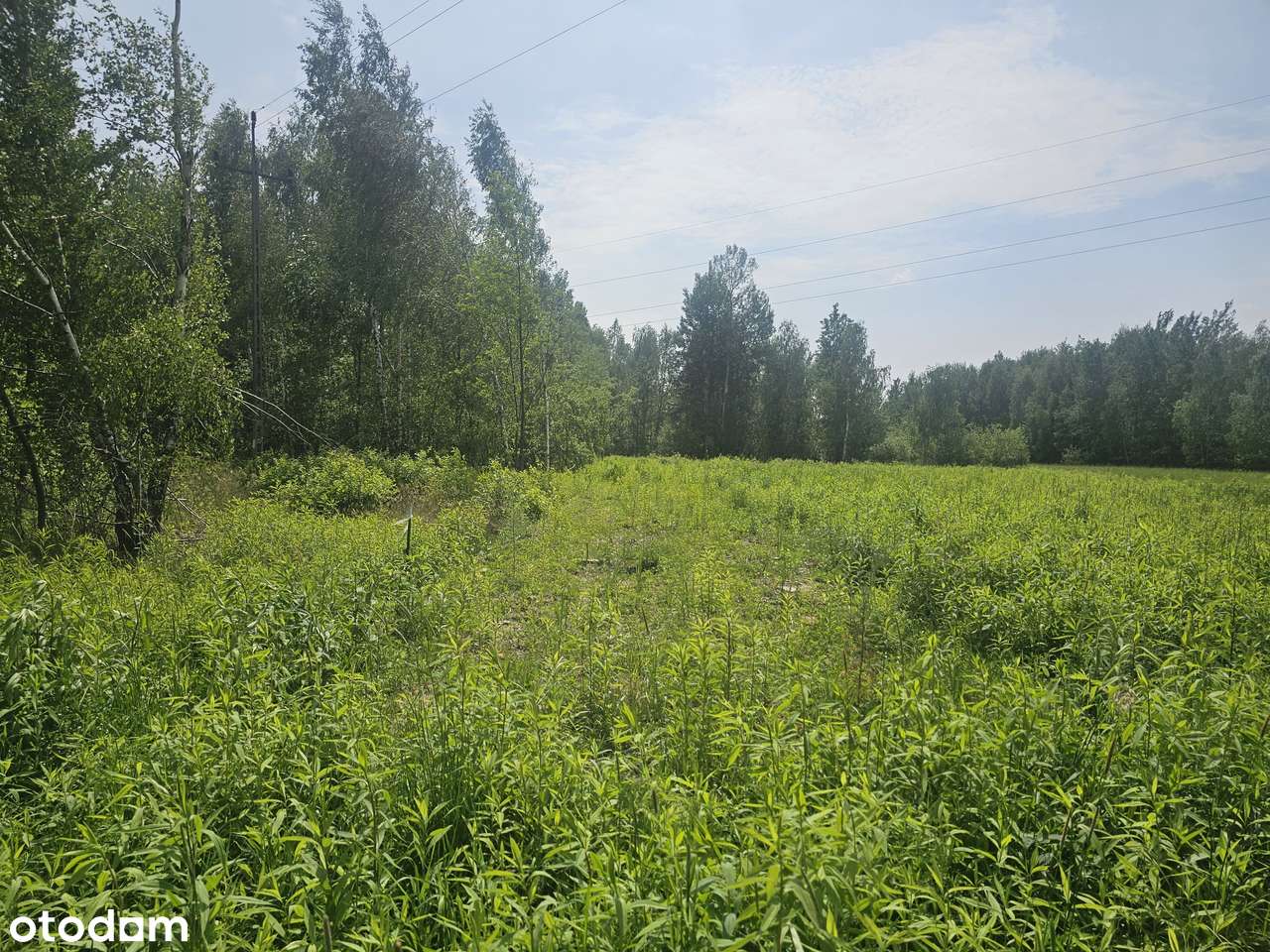 Blisko trasy S17. Uchwalony MPZP - USŁUGI / PRZEMYSŁ. Brak sąsiadów-3