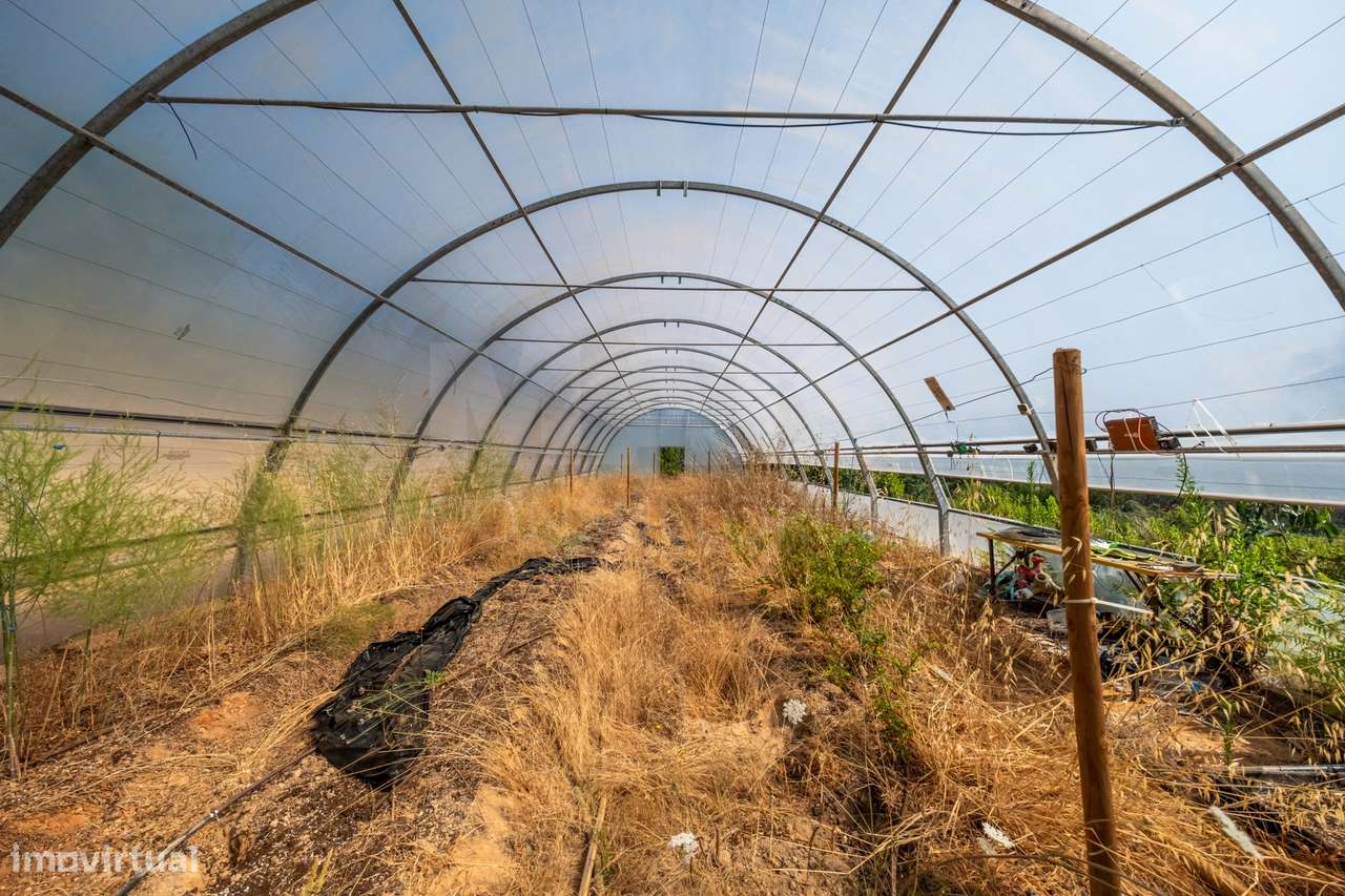 Terreno Agrícola na Fanadia | 16.100 m² de Potencial e Infraestrutu...-26
