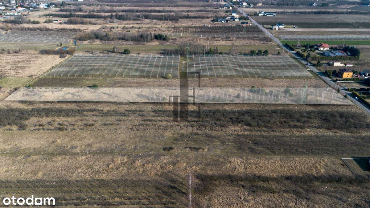 Działka rolna w Warce | brak Mpzp - Pełny obrazek: 4/10