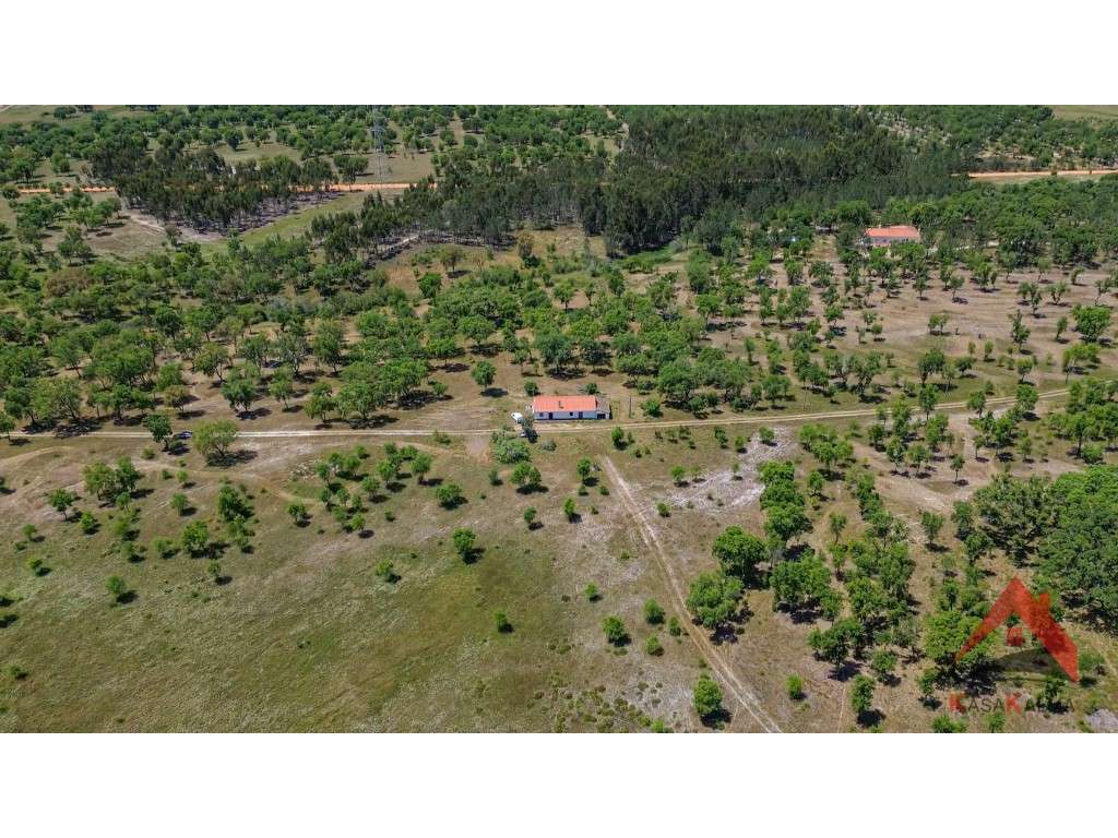 HERDADE DO BARRANCO - OPORTUNIDADE ÚNICA PARA TURISMO E INVESTIMENTO-16