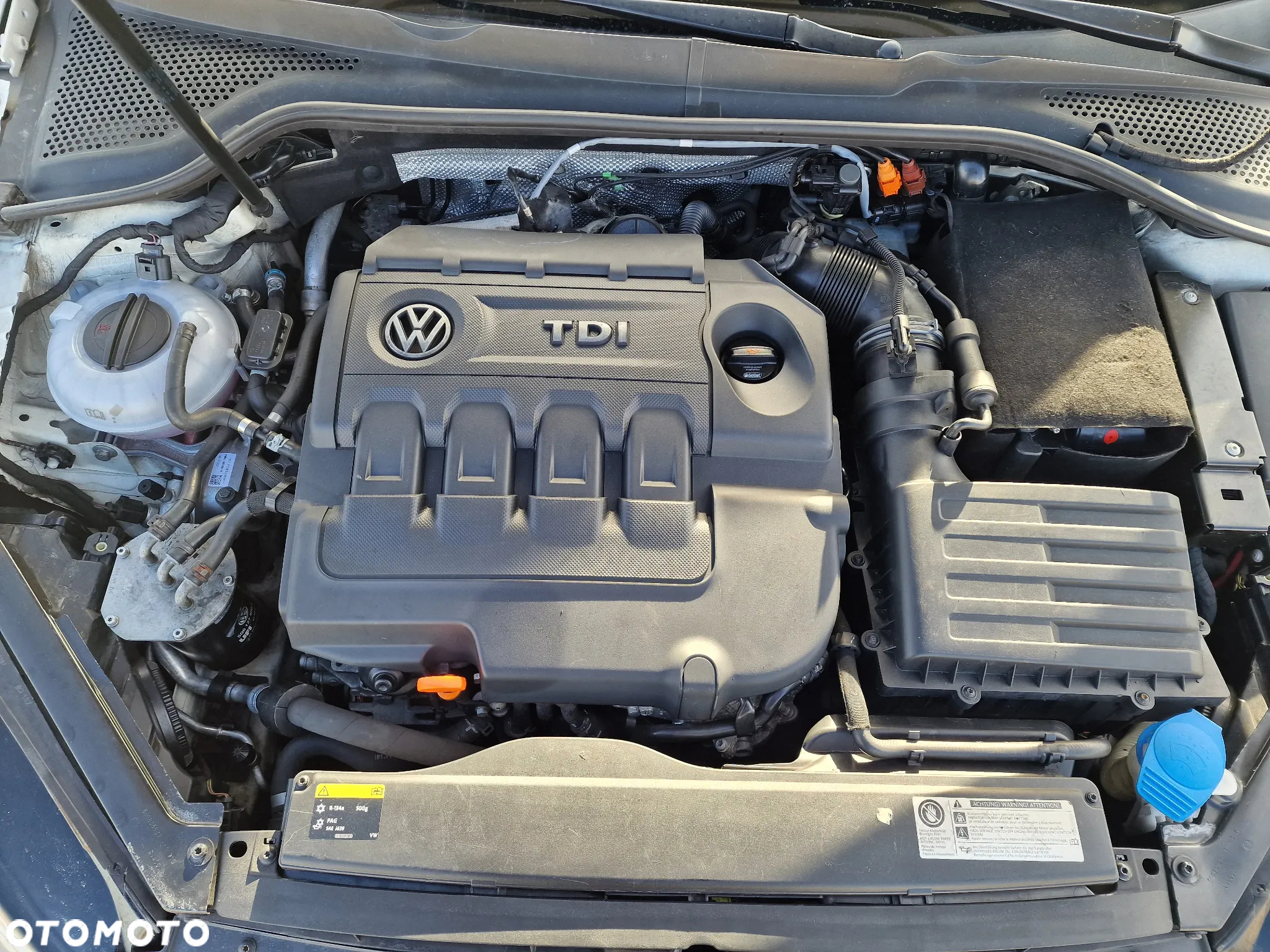 Volkswagen Golf - 18