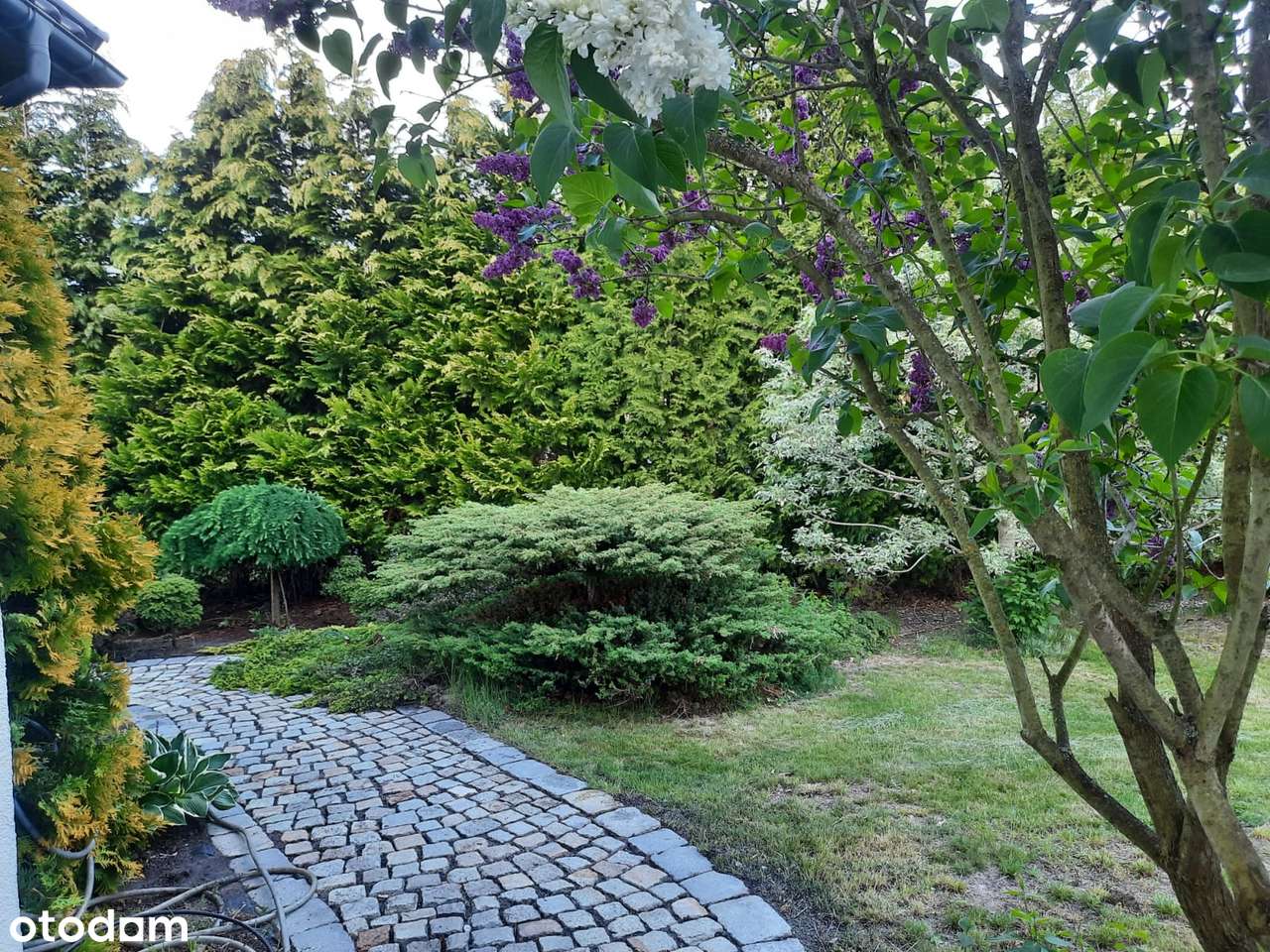 Nowoczesny,komfortowy,piękny ogród, blisko Wrocławia,5 sypialni.-17