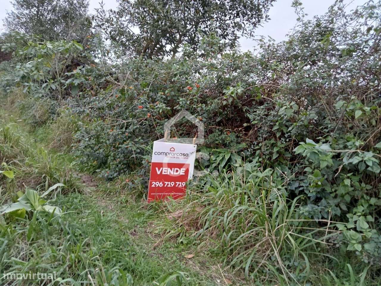 Terreno com 20.460,00 m2 - Água de Pau - Lagoa - Grande imagem: 2/16