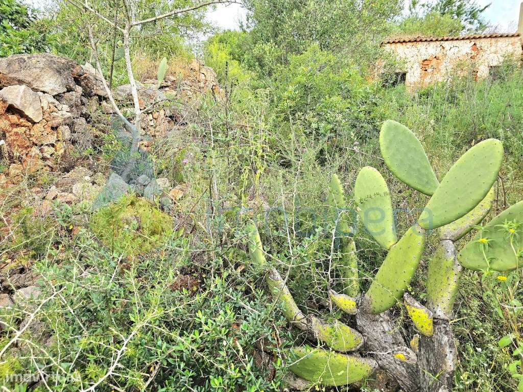 Algarve, Silves, Faxelhas! Terreno de 23.786m2 e Urbano: 120m2. Ime... - Grande imagem: 3/12