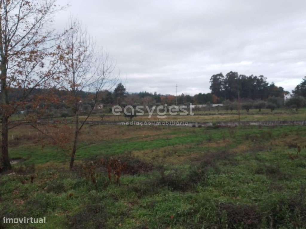 Terreno para construção, localizado em Canas de Santa Maria, Tondela - Grande imagem: 5/16