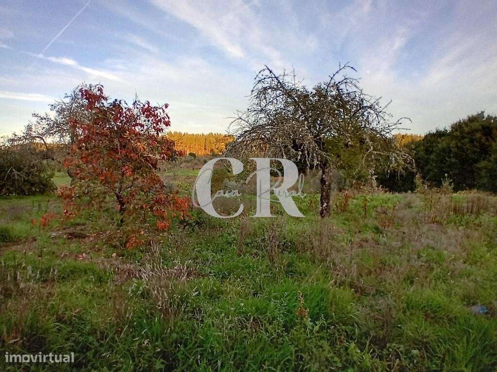 Moradia T3 com terreno pronta a habitar, logradouro e poço de água em-22