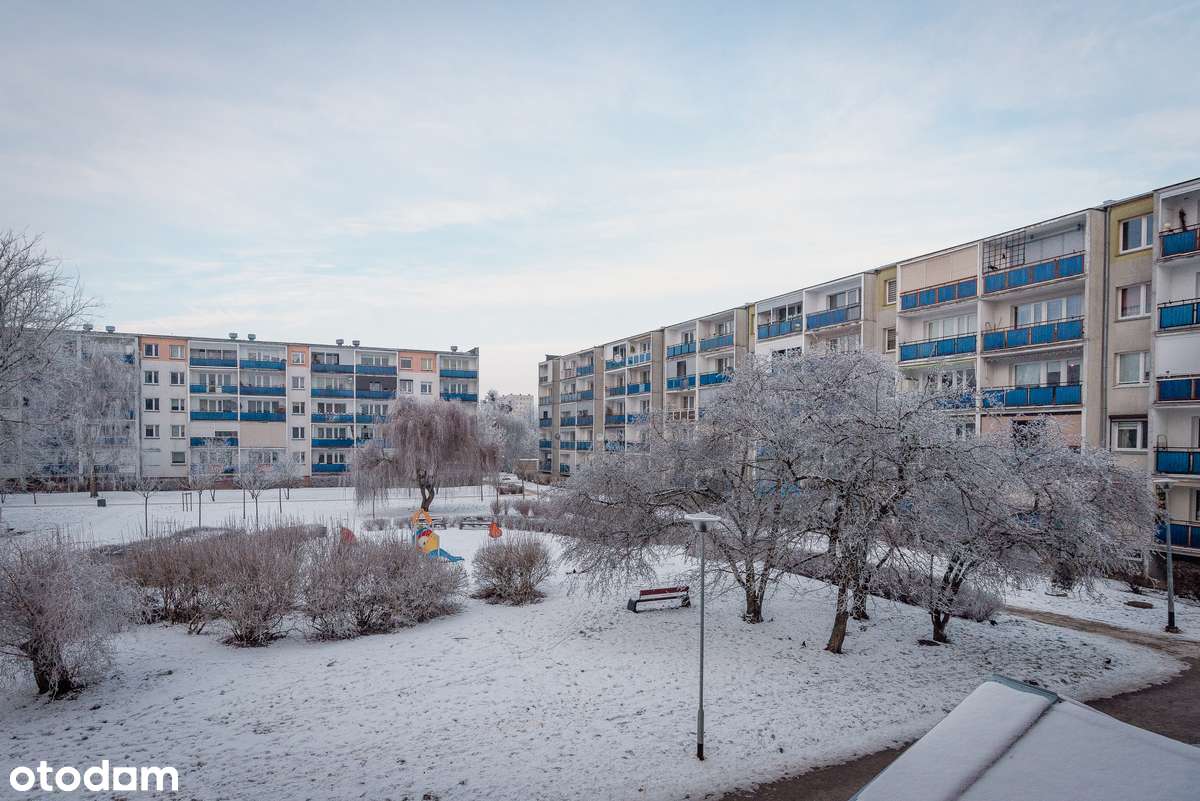 3-pokojowe mieszkanie z balkonem| os. Czwartaków| Pierwsze piętro-4