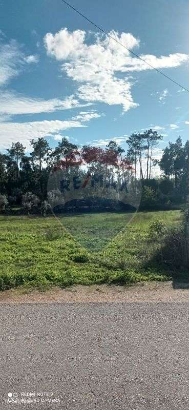 Terreno  para venda - Grande imagem: 4/4