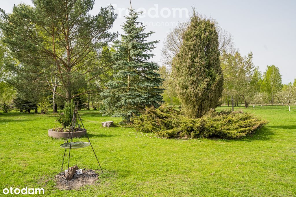 Ziemia rolna 20zł/m2 z budynkami mieszkalnymi