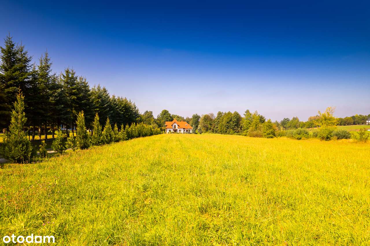 Gosprzydowa  -  pow brzeski, - działka budowlano-rolna 31 ar-13