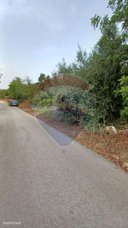 Terreno  para venda - Grande imagem: 2/7