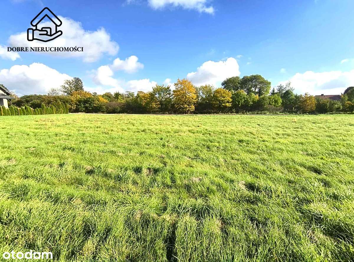 3456 m2 - Kamionka - teren Mn/U - spokojna okolica - Pełny obrazek: 5/6