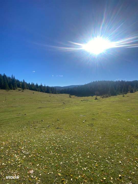 Teren extravilan la Poiana Horea - Belis - 16.000 mp-0