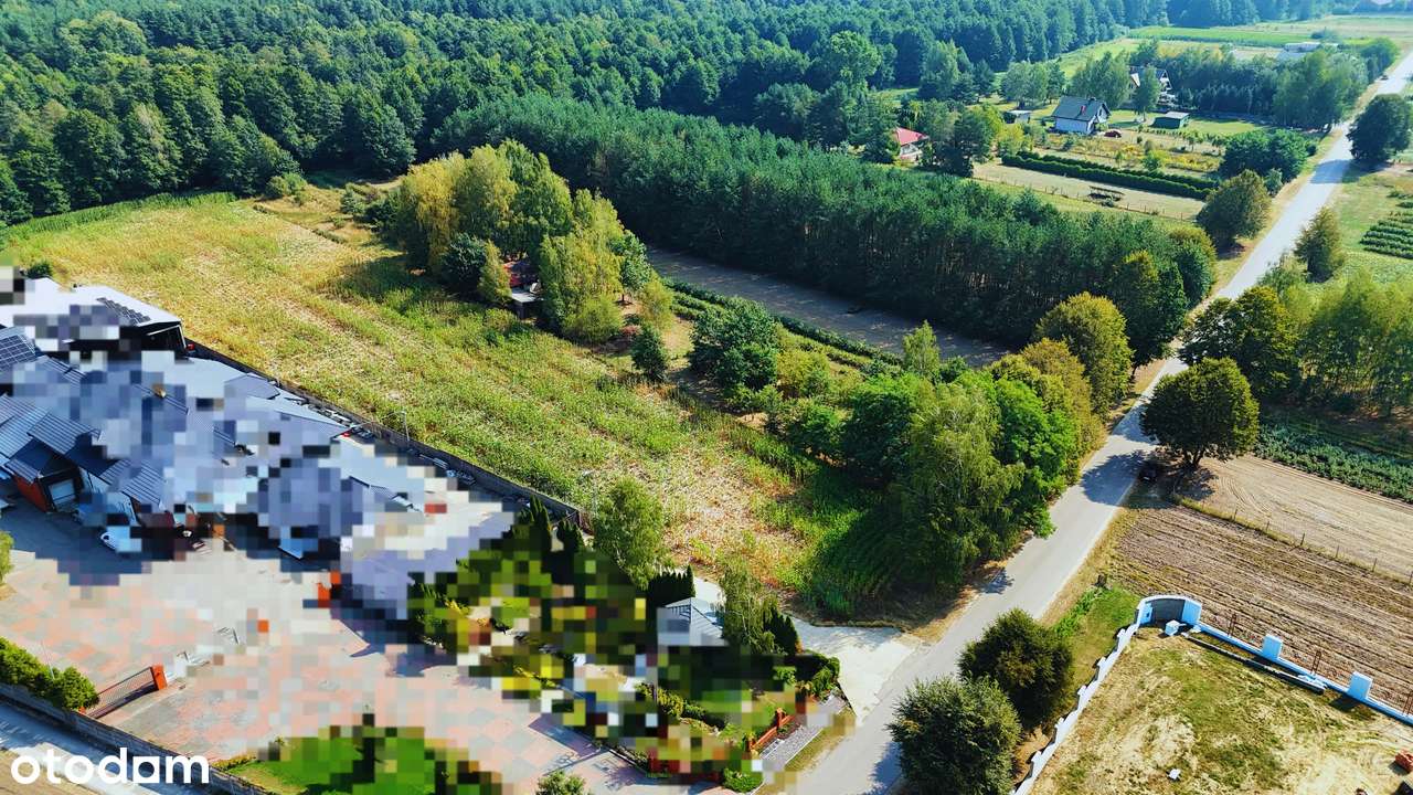 Działka pod dom i rekreację 8837 m2- rzeka, media, asfalt - Pełny obrazek: 5/17