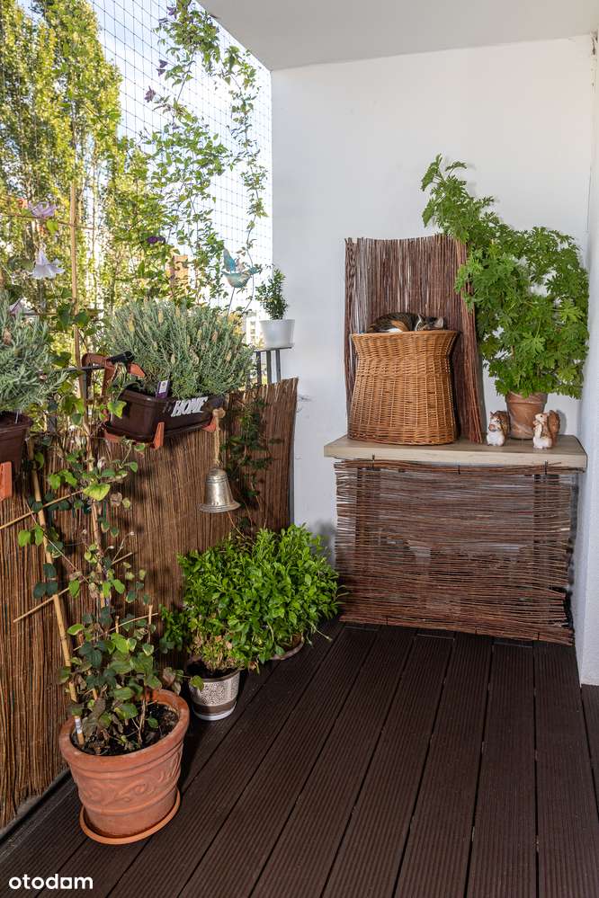 2-poziomowe mieszkanie na sprzedaż. B-stok Leśna Dolina. Bezpośrednio - Pełny obrazek: 5/15