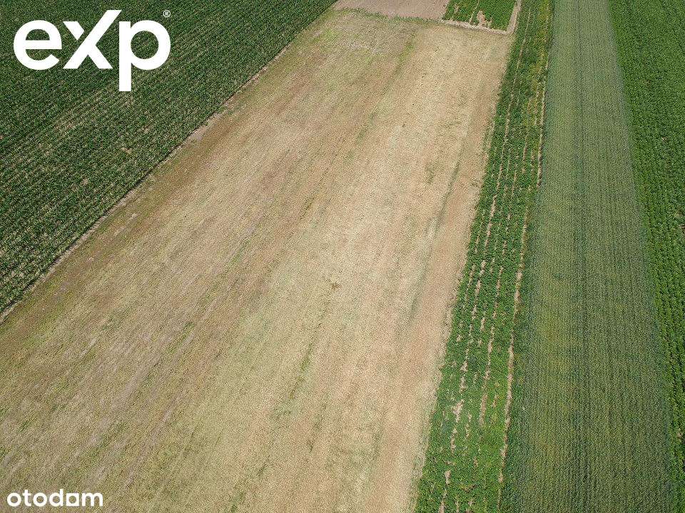 Działki budowlane w urokliwym Bystrem (Oleśnica) - Pełny obrazek: 4/11