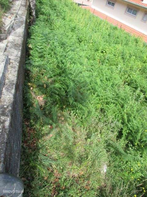 Quintinha em Roriz-16