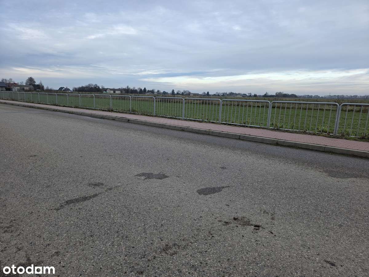 Gm. Niemce_10 minut do Lublina_MPK_ścieżka rowerowa_lasy kozłowieckie - Pełny obrazek: 2/3