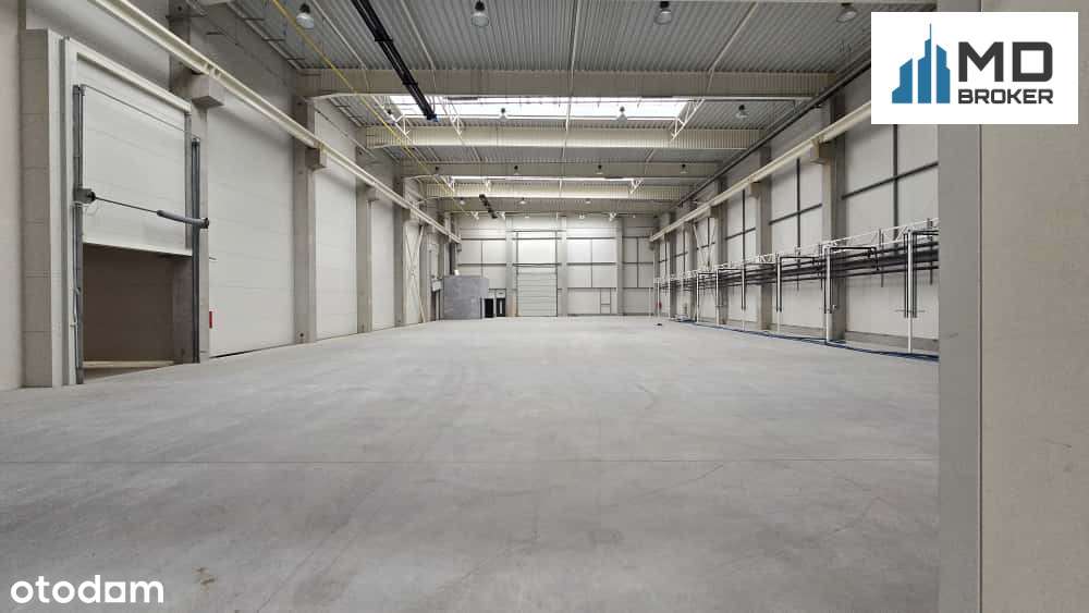 Nowoczesny obiekt produkcyjno-magazynowy z placem - Pełny obrazek: 4/11