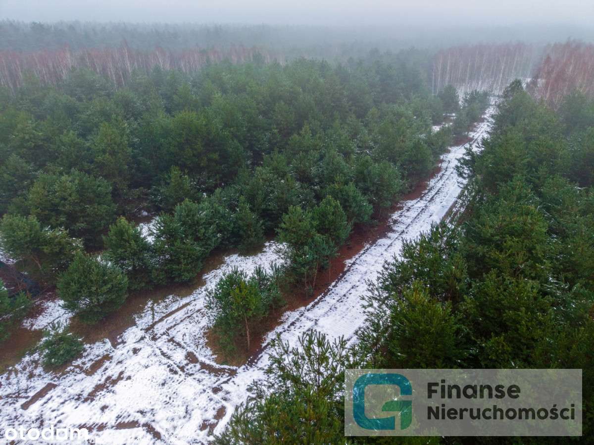 Działki budowlane po 1500 m² – Dąbrówka-8