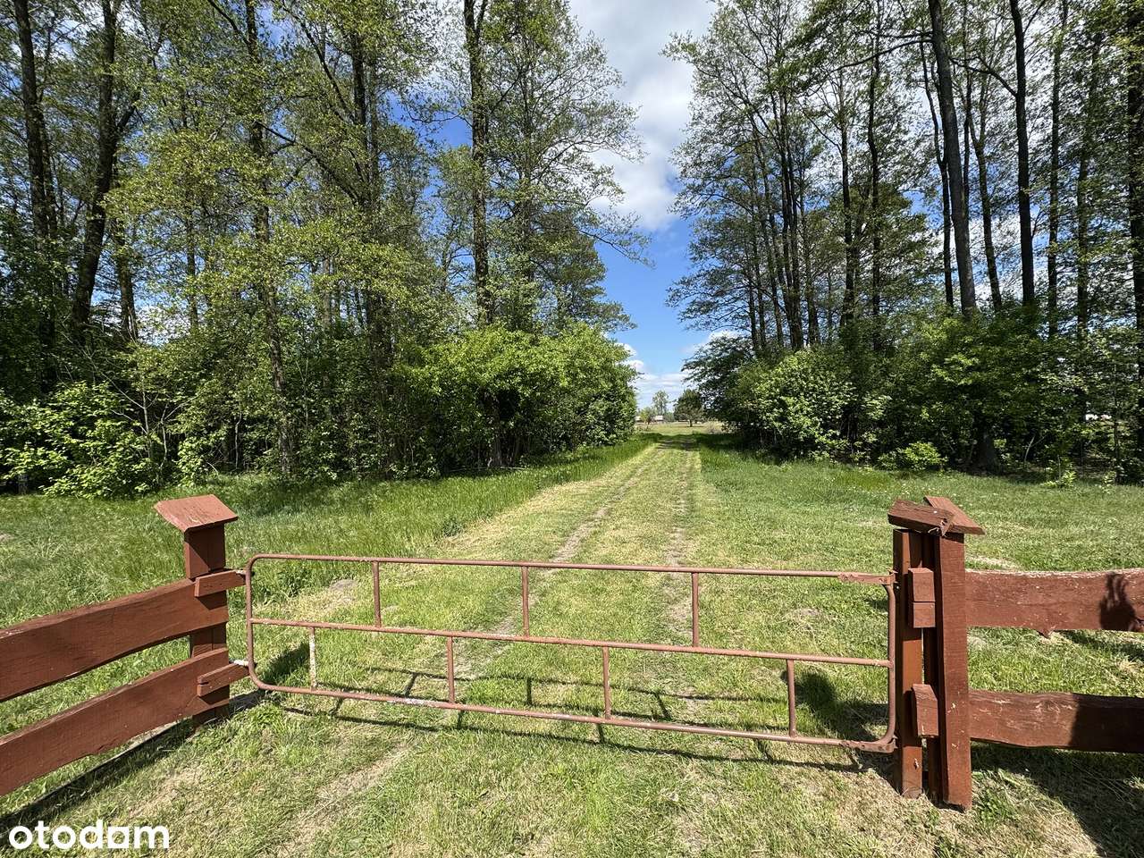 ! NOWA CENA ! Działki BUDOWLANE, Chrzczanka-Folwark gmina DŁUGOSIODŁO-12