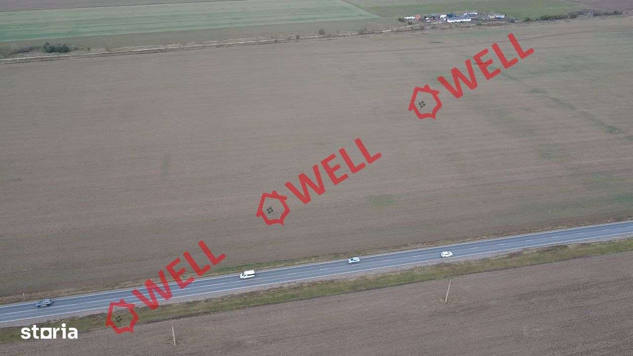 Teren intravilan de vânzare în Sf. Gheorghe, spre Câmpul Frumos! - Imagine principală: 3/4