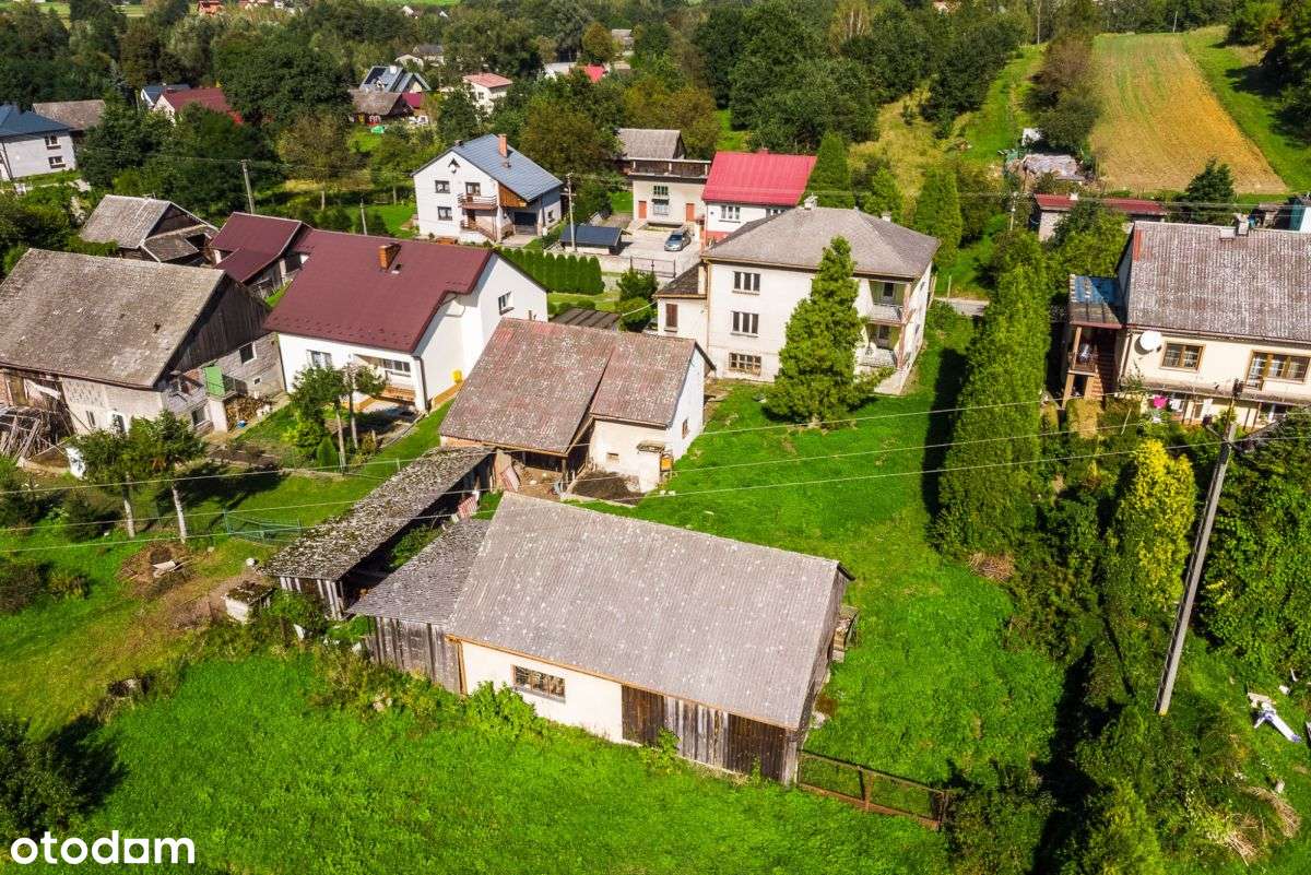 blw466984 - Pełny obrazek: 5/20