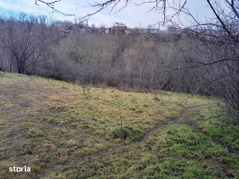 Teren de vanzare la Virlezi - Imagine principală: 5/8