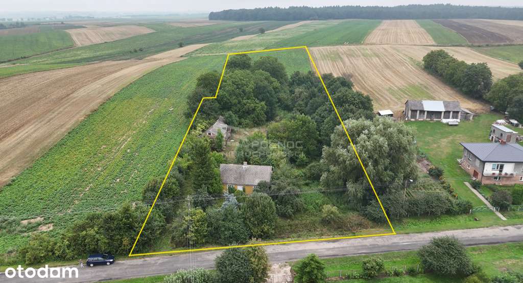 Gospodarstwo rolne  - dom, pole i sad 0,88 ha - Pełny obrazek: 4/9