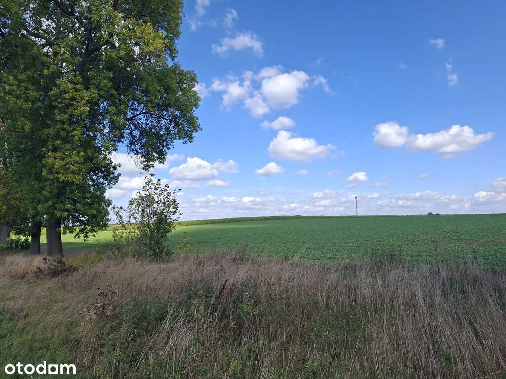 Działka inwestycyjna Suchożebry (przy DK63) - Pełny obrazek: 5/10